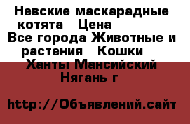 Невские маскарадные котята › Цена ­ 15 000 - Все города Животные и растения » Кошки   . Ханты-Мансийский,Нягань г.